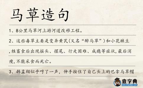 馬草造句