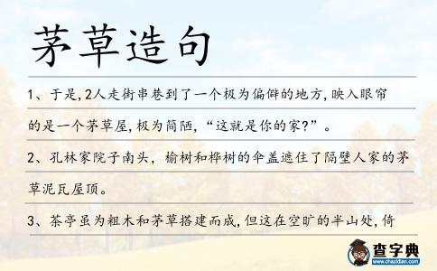 茅草造句
