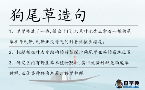 狗尾草造句