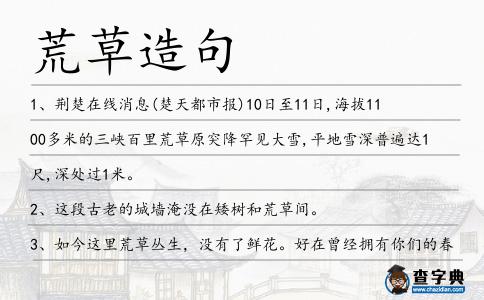 荒草造句