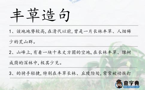 豐草造句