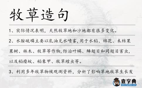 牧草造句