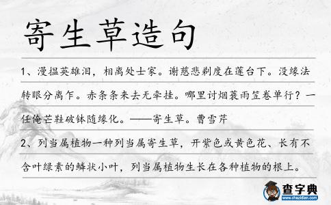 寄生草造句