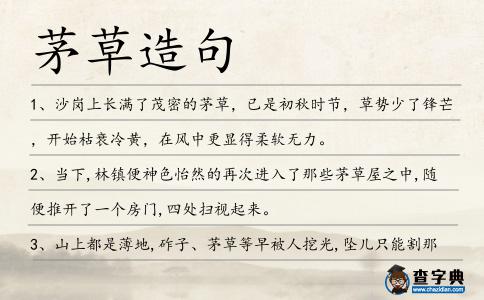 茅草造句