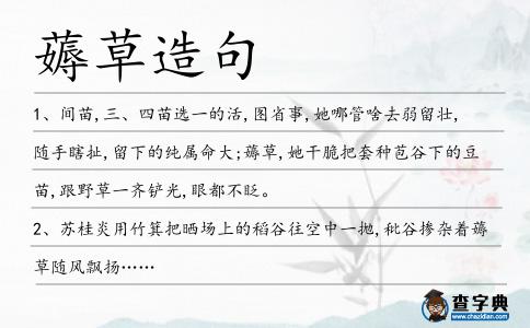 薅草造句