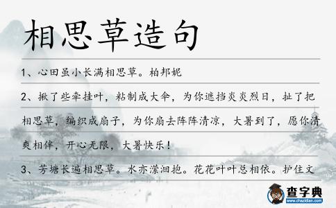 相思草造句