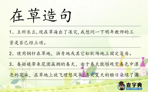 在草造句