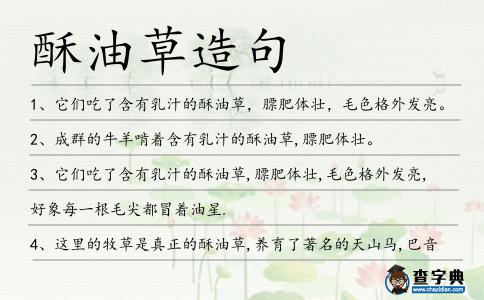 酥油草造句