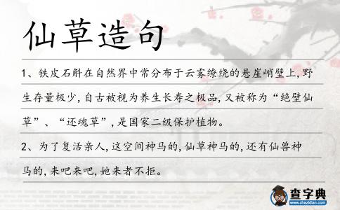仙草造句