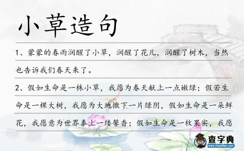 小草造句