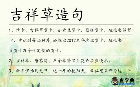 吉祥草造句
