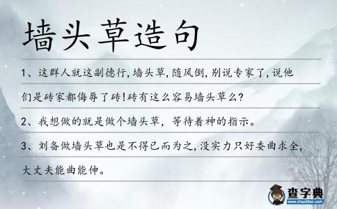 墻頭草造句