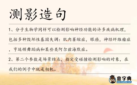 測(cè)影造句