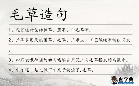 毛草造句