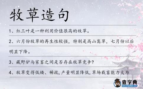 牧草造句