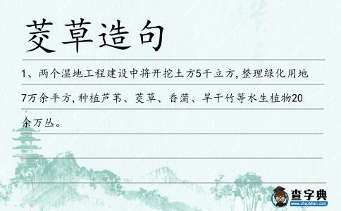茭草造句