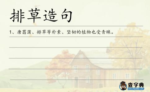 排草造句