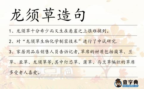 龍須草造句