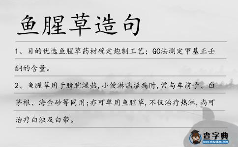 魚腥草造句
