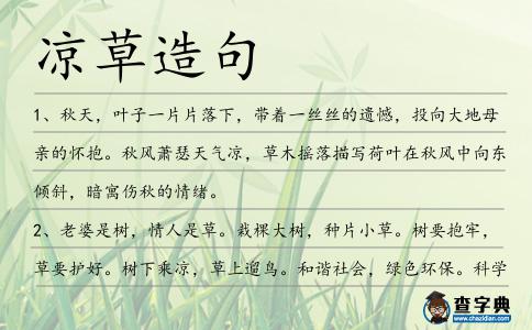 涼草造句
