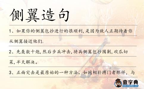 側(cè)翼造句