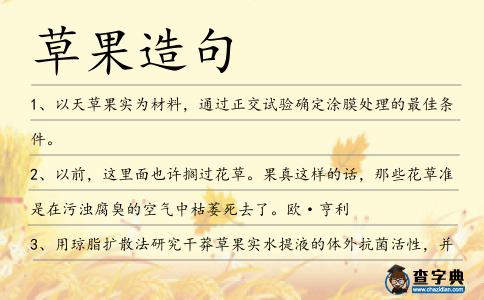 草果造句