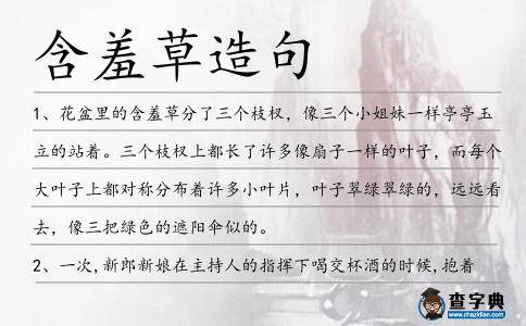 含羞草造句