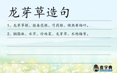 龍芽草造句