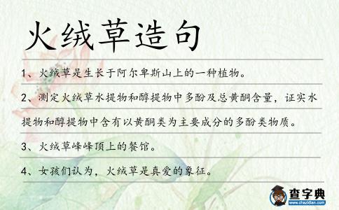 火絨草造句