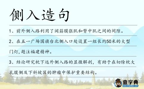側(cè)入造句