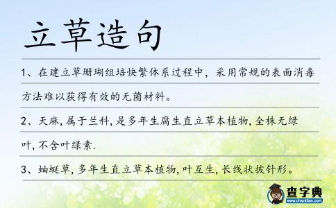 立草造句