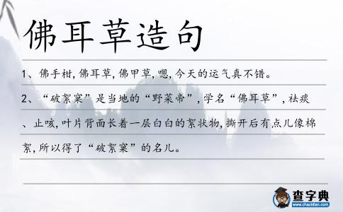 佛耳草造句