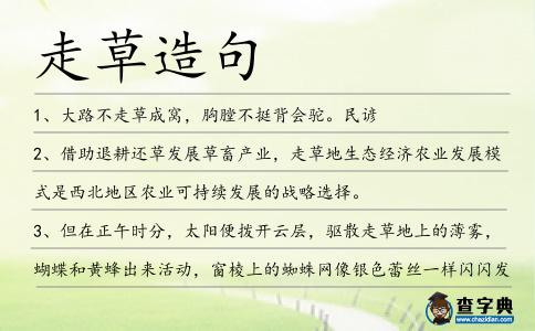 走草造句