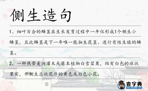 側生造句