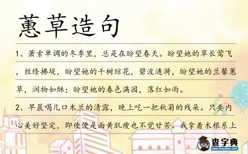 蕙草造句