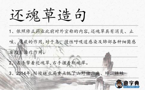 還魂草造句