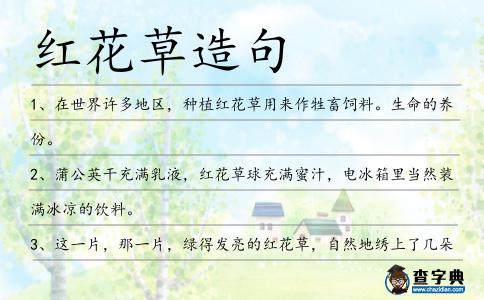 紅花草造句