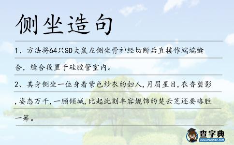 側坐造句