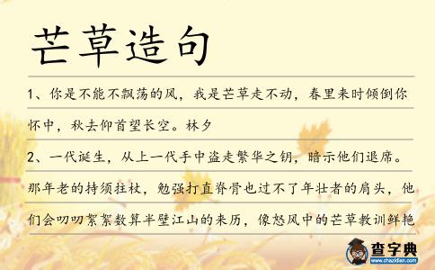 芒草造句