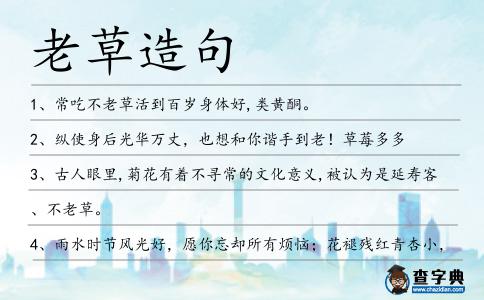 老草造句