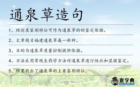 通泉草造句