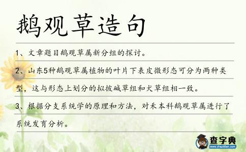 鵝觀草造句