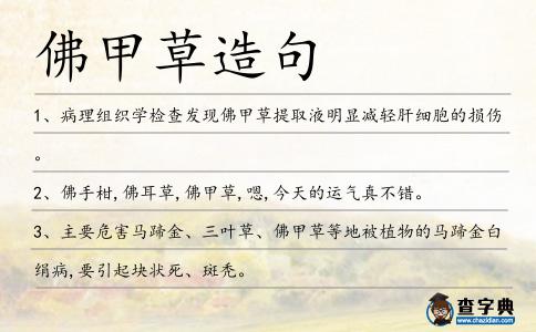 佛甲草造句