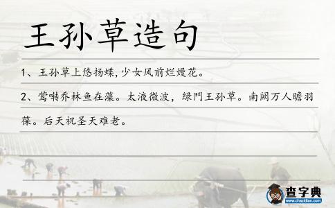 王孫草造句