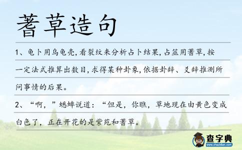 蓍草造句