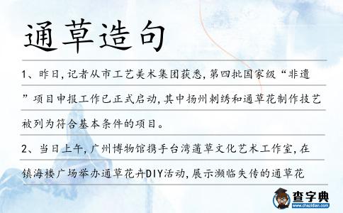 通草造句