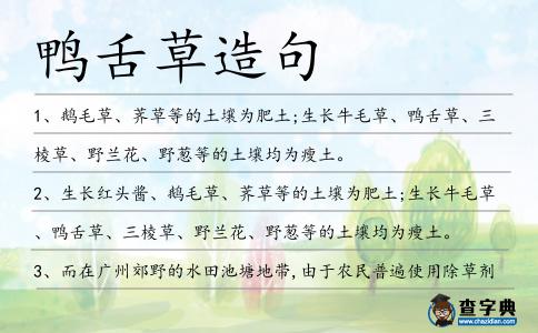 鴨舌草造句