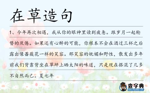 在草造句