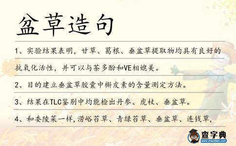 盆草造句