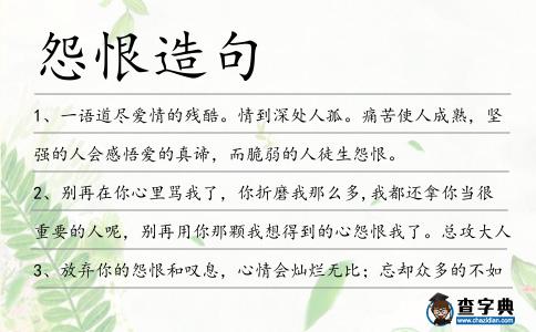 怨恨造句